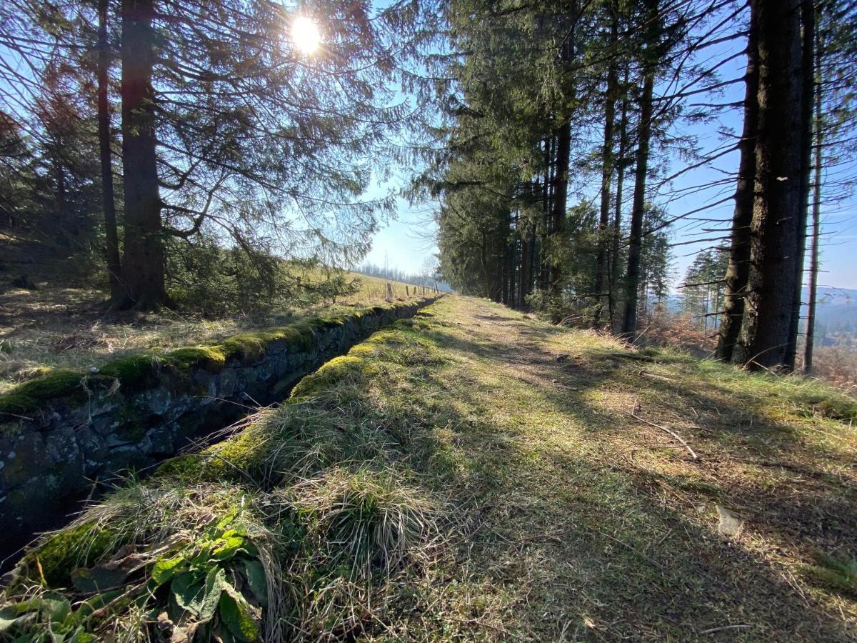 Ferienwohnung Hohensee Eg Clausthal-Zellerfeld Buitenkant foto